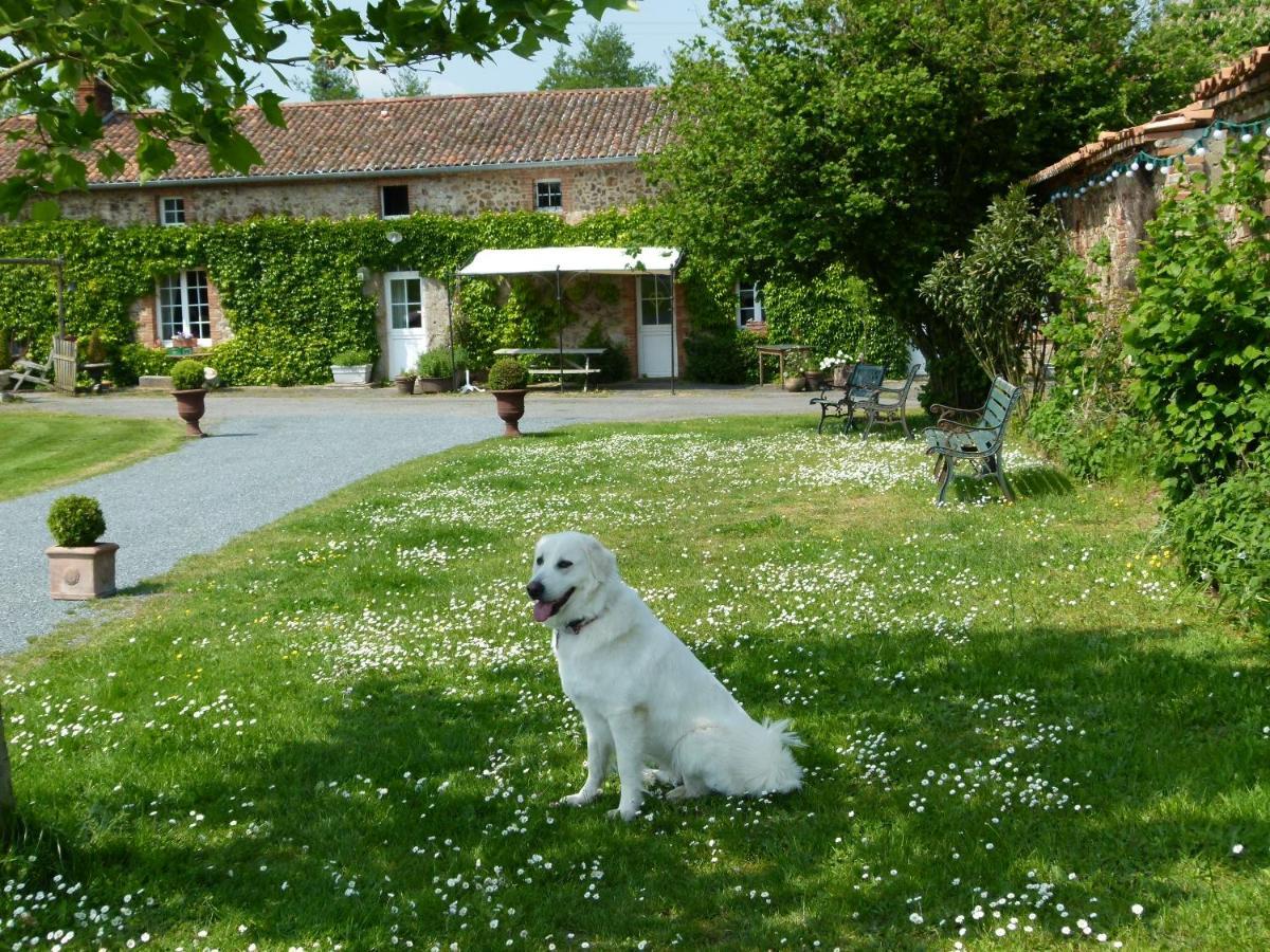 Gites De L'Etang Des Noues Cholet Esterno foto