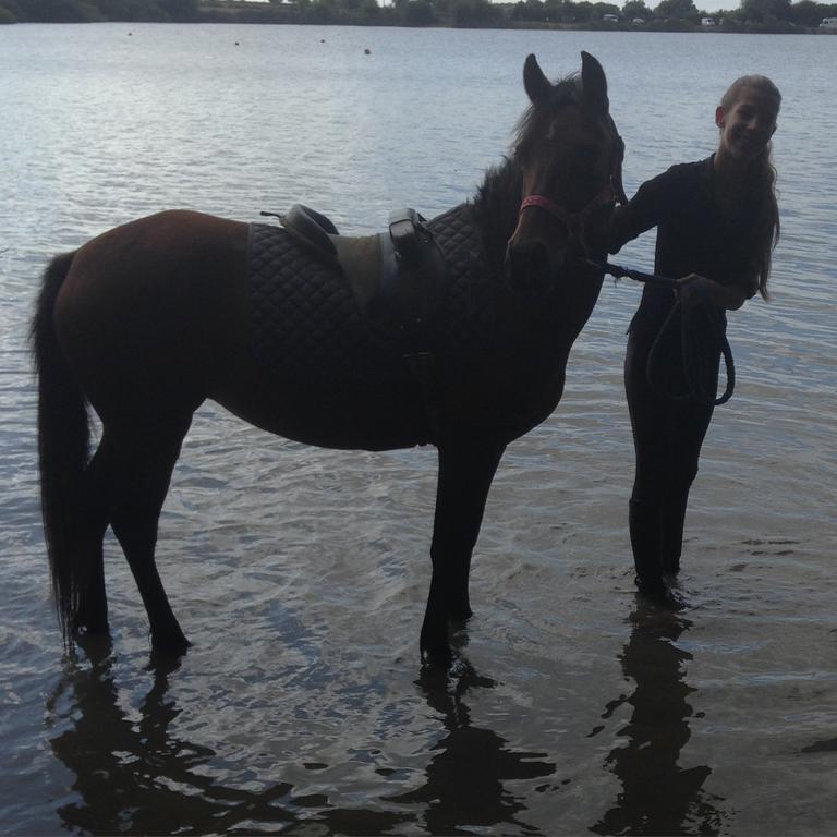 Gites De L'Etang Des Noues Cholet Esterno foto
